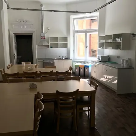 Bison * Krakow