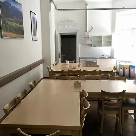 Bison Krakow